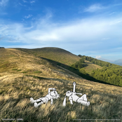 camoufly: can't get over it