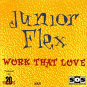 Work That Love (Maxi Single)