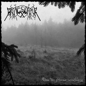 Was der Morast verschlang