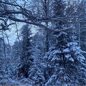 Hypothermia: An Unrequited Love of Winter