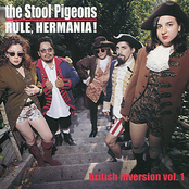 Wild Love by The Stool Pigeons