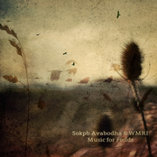 Music For Fields Part I by Sokpb Avabodha & Wmri