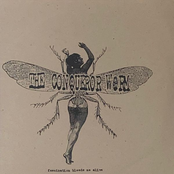 Fascination Bleeds Me Alive