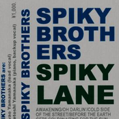 Cold Side Of The Street by Spiky Brothers