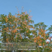 Bezdna Radio Essentials 012