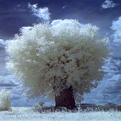 It Took a Long Time to Get Here, But I'm Glad I Finally Made It