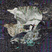 Full Moon (death Classic) by Death Grips