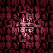 Best Audiophile Voices II