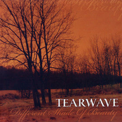 Forgettable Name by Tearwave