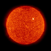 {Starlite Meditation Cult}