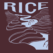Rice - Single