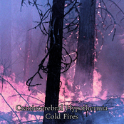Cold Fires