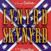 A Country Tribute To Lynyrd Skynyrd