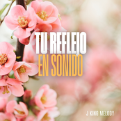 Tu Reflejo en Sonido