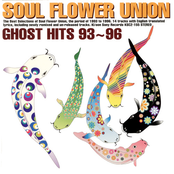 向日葵の夢 by Soul Flower Union