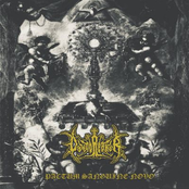 Pactum Sanguine Novo