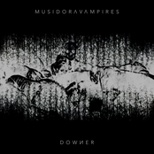 DOWИER