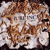 The Last Remaining Song by Pure Inc.