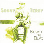 Harmonica And Washboard Breakdown by Sonny Terry