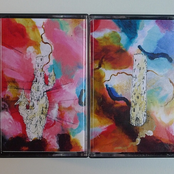 split with Digital Natives