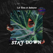 Stay Down