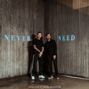 Never Need - Single