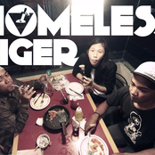 homeless tiger