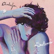 Smothered Artwork