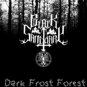 Dark Frost Forest