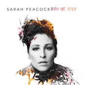 Sarah Peacock: Burn the Witch