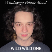 Windswept Pebble Mood / Wild Wild One - Single