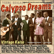 Calypso Dreams