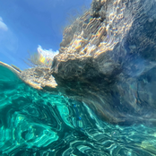 Postcards From Pangea