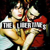 time for heroes: the best of the libertines