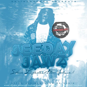 Shark Infested Flow Vol. 1