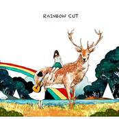 Rainbow Cut