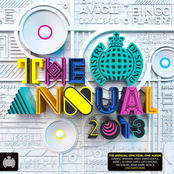 Ministry Of Sound: The Annual 2013