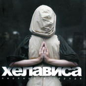 Леопард в городе