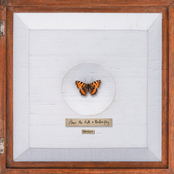 How To Kill A Butterfly