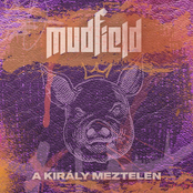 A király meztelen