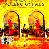 Bolero Gypsies - New Flamenco Vol. 2