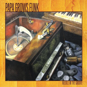 Make It Right Now by Papa Grows Funk