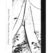 Placeholder For A Palace