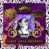 Mind Funeral & Pimp Nasty - Split