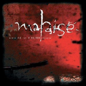 If I Die by Malaise