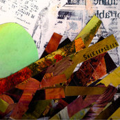 She Keeps Bees: Nests