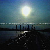2009 - Fluid Culture