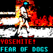 Fear Of Dogs