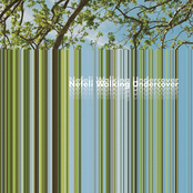 Στοιχεία Του Άχρονου Κόσμου