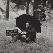 Serge Gainsbourg のアバター